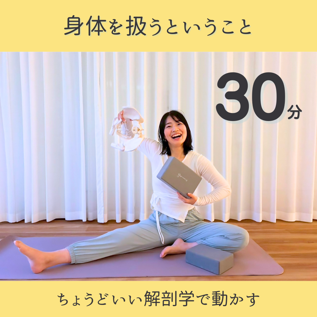 3/23昼【ちょうどいい解剖学】身体を扱う=骨盤=