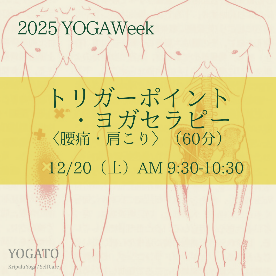 12/20(土)AM 9:30-10:30 トリガーポイント・ヨガセラピー〈腰痛・肩こり〉 60分