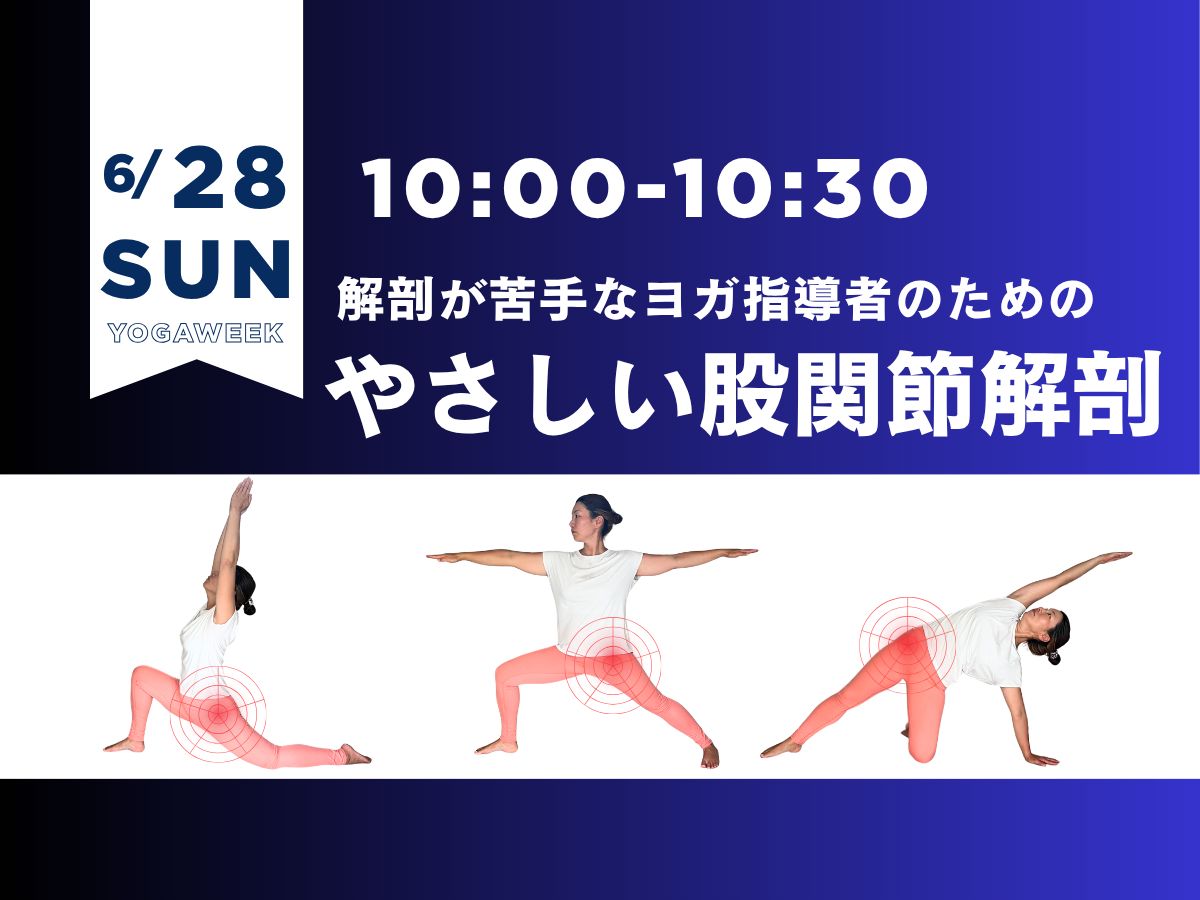 6/28(日) 解剖が苦手なヨガ指導者のための「やさしい股関節解剖」