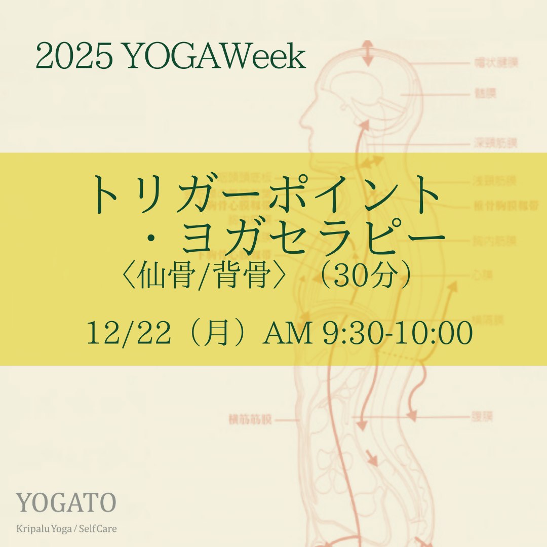 12/22(月)AM 9:30-10:00 トリガーポイント・ヨガセラピー〈仙骨/背骨〉