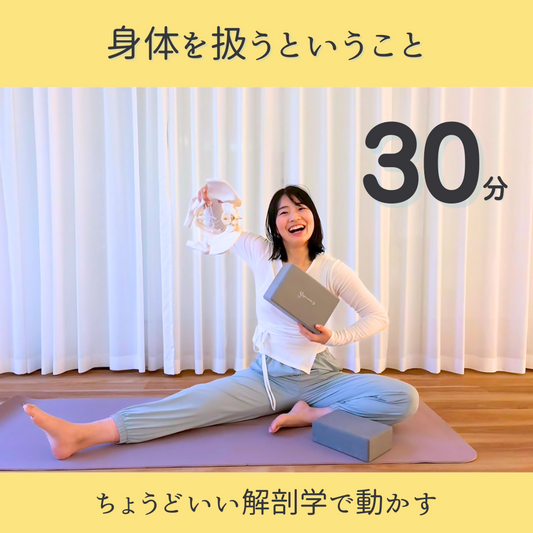 3/23昼【ちょうどいい解剖学】身体を扱う＝骨盤＝