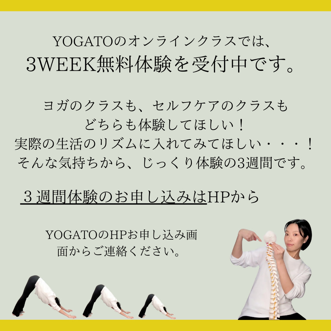 9/20（金） AM 9:30-10:30きそきそよーが 〈前後屈編〉クリパルアプローチ