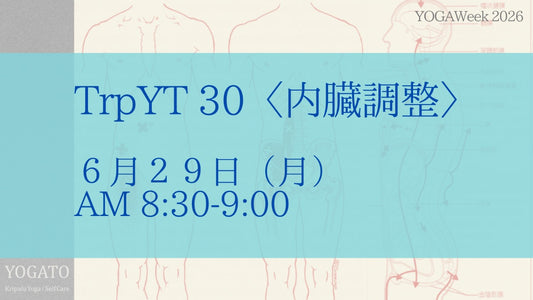 6/29(月) AM トリガーポイント・ヨガセラピー〈内臓調整〉