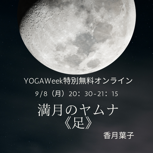 満月のヤムナ