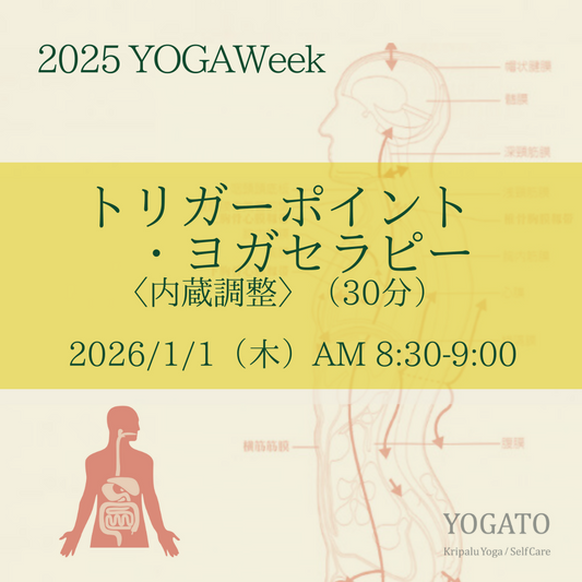 1/1（木）AM 8:30-9:00　トリガーポイント・ヨガセラピー〈内蔵調整〉