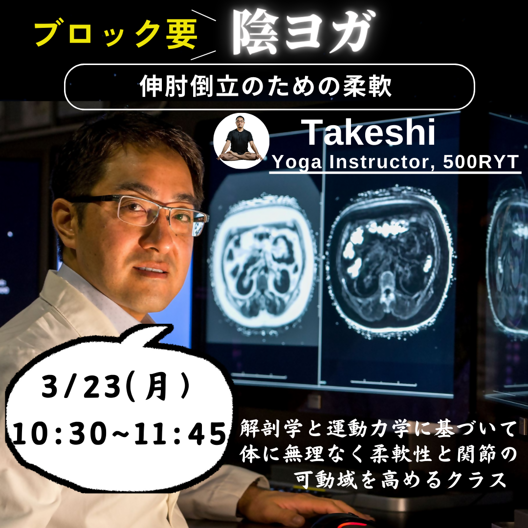 【陰ヨガ】　伸肘（しんぴ）倒立のための柔軟（ブロック要）