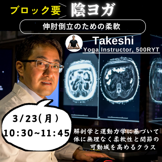 【陰ヨガ】　伸肘（しんぴ）倒立のための柔軟（ブロック要）