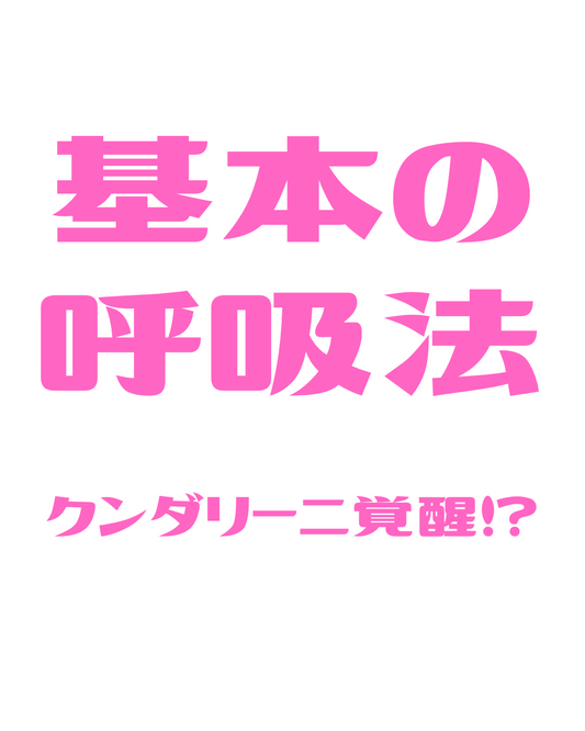 3月のご案内