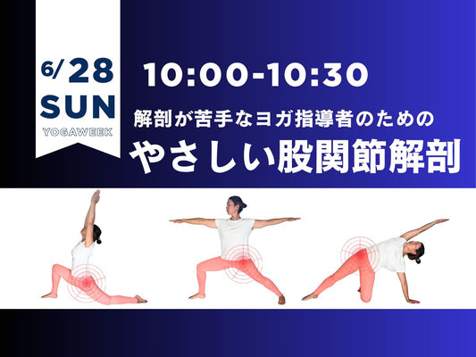 6/28(日) 解剖が苦手なヨガ指導者のための「やさしい股関節解剖」