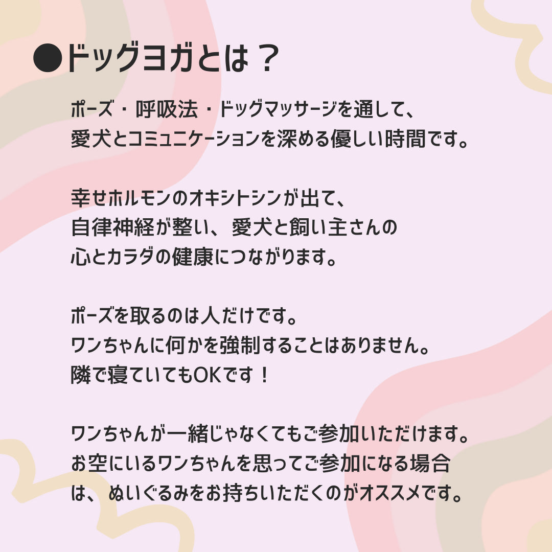 【9/15(日)AM10:00～】愛犬と心つなげる！ドッグヨガ